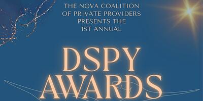 1st Annual DSPY Awards
